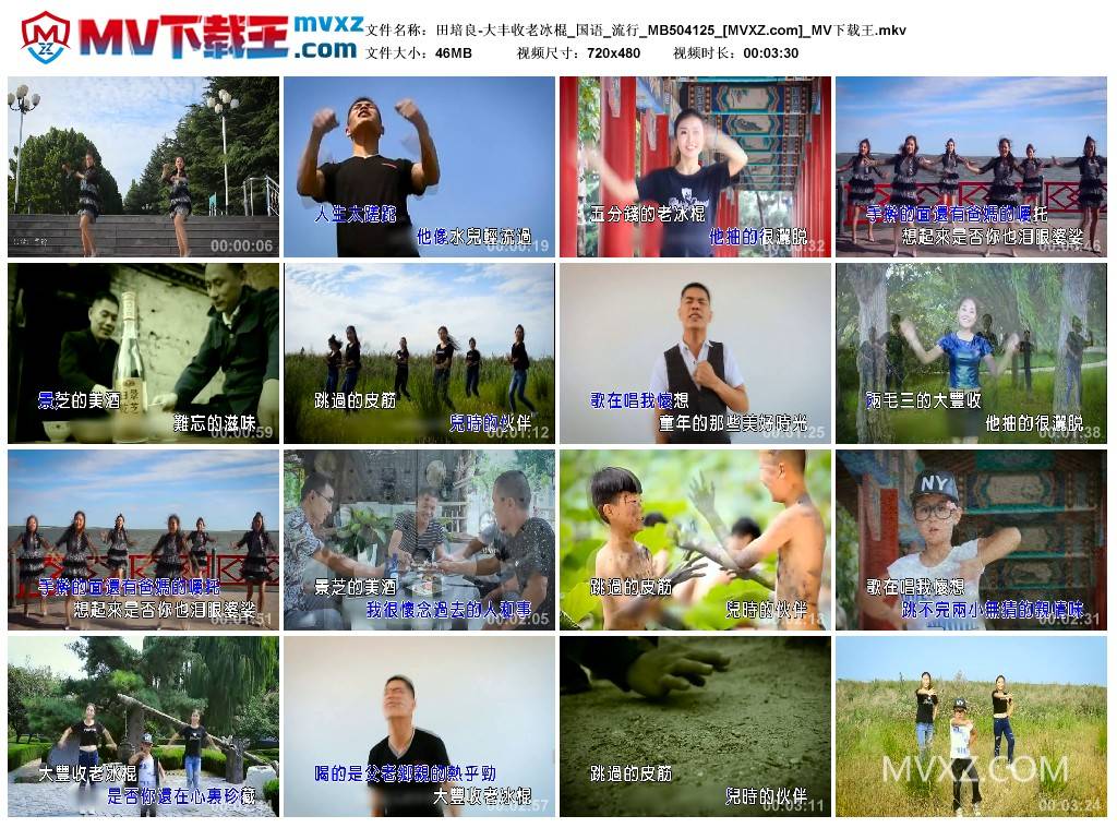 田培良-大丰收老冰棍_国语_流行_MB504125